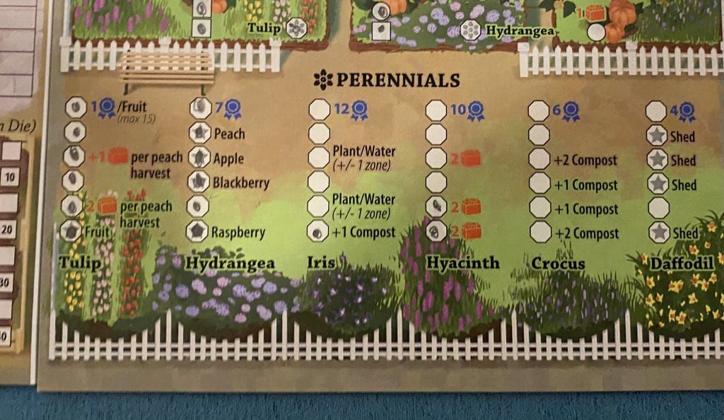perennials in Three Sisters